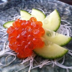 SASHIMI IKURA